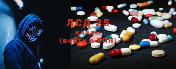 прущие грибы Аркадак
