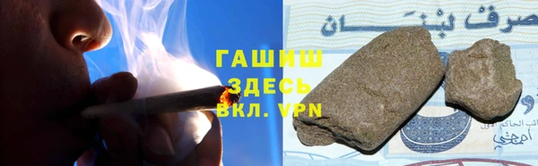 прущие грибы Аркадак
