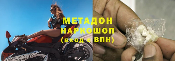 прущие грибы Аркадак
