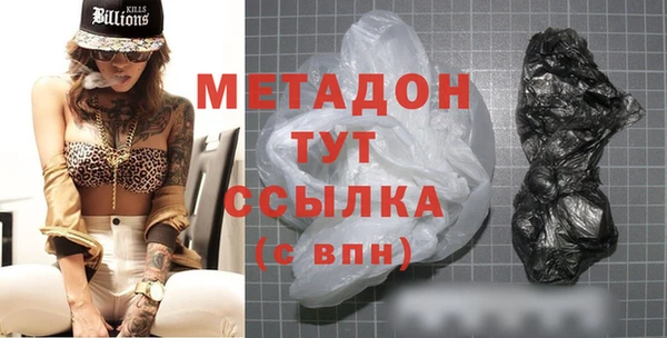 прущие грибы Аркадак