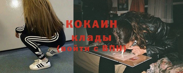прущие грибы Аркадак