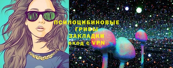 прущие грибы Аркадак