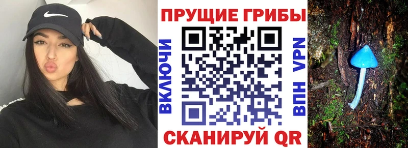 Псилоцибиновые грибы Psilocybe  Унеча 